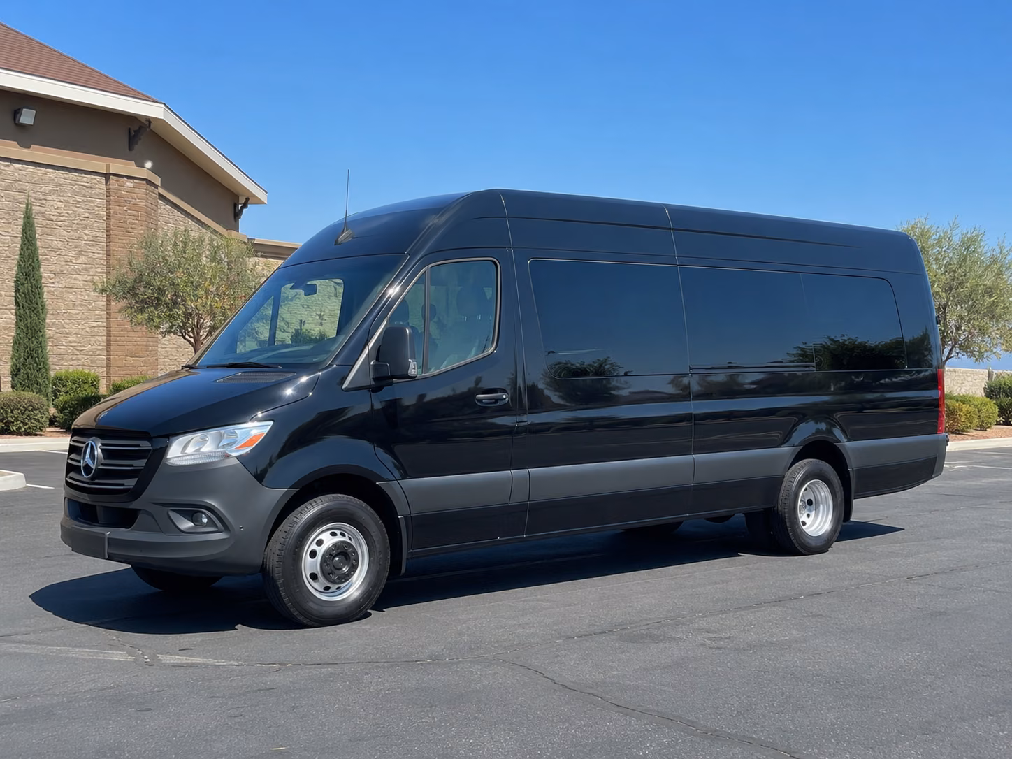 elizabeth 12 passenger sprinter van